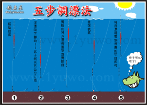 钓鱼技巧 调漂方法 完整的五步调漂法图解 钓鲤鱼调漂图解