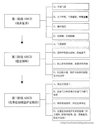 徒手心肺复苏技术操作（2010最新版） 徒手心肺复苏最新版