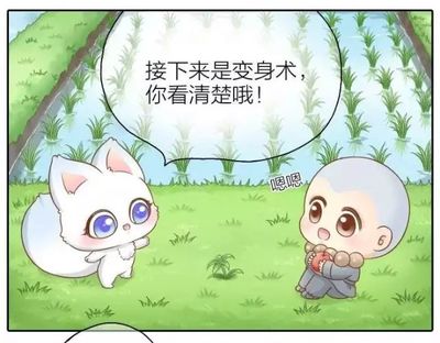 智慧的小和尚（哲理漫画）(图) 小和尚与小狐狸漫画