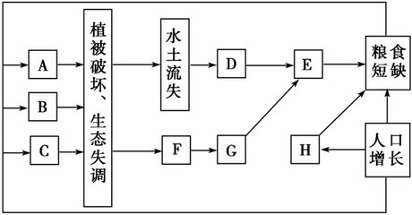 第十一单元第一节区域水土流失及其治理 水土流失治理措施