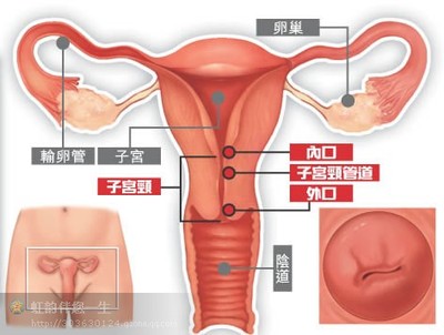 什么是宫寒？宫寒是怎么造成的？宫寒怎么办？ 宫寒是什么原因造成的