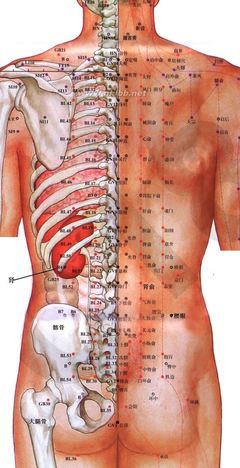 强身健体的捷径:抖动法