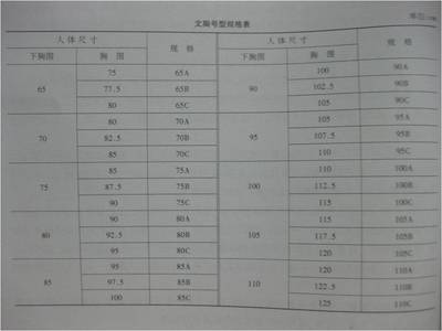 胸围测算及国际尺寸对照及详细计算方法 内衣胸围尺寸对照表