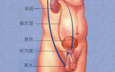 前列腺多少钱蚌埠列车员style 高铁列车员