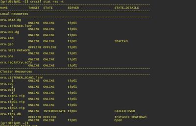 RAC管理(crs_stat、crsctl、srvctl)_bear crsctl stat res