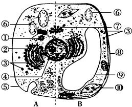 分析美国教材的科学写作主题————以《科学探索者》教材化学分 科学探索者读后感