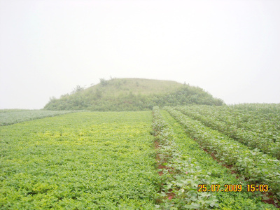 高平陵——魏明帝曹叡 高平陵