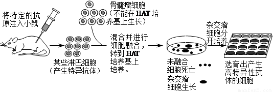 培养基分类及培养基制备方法 培养基的制备过程