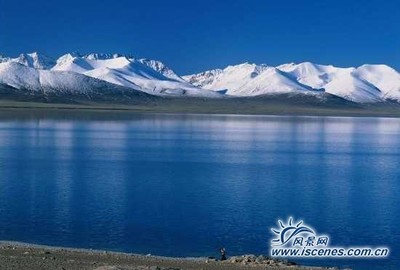 青海湖护鱼人在行动 保护青海湖的标语