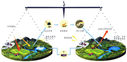 大气层 大气层生物