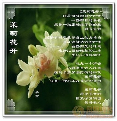 花的诗.花语(十四)：茉莉花