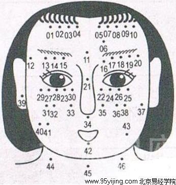 面相学图解 脸上痣相吉凶大全图解