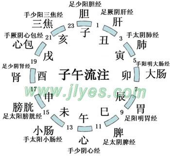 十二时辰走十二经络 12时辰与经络