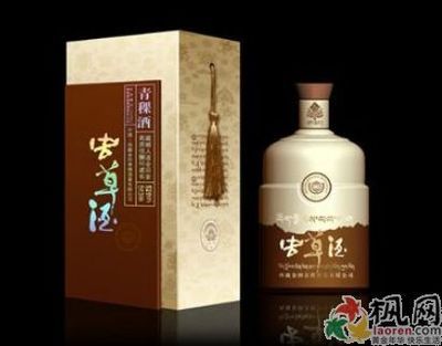 虫草酒的功效和特点 虫草酒