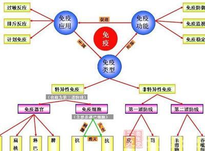 增强免疫力的食物有哪些 小儿增强免疫力