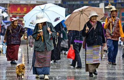 幸福不是毛毛雨 幸福不是毛毛雨视频