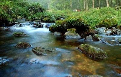 什么季节到张家界旅游最合适? 张家界最佳旅游季节