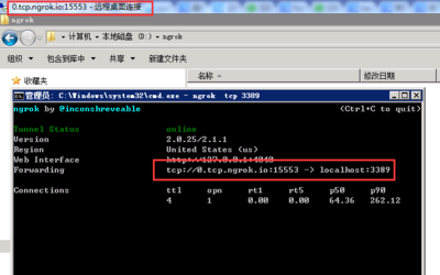 内网端口穿透 windows ngrok