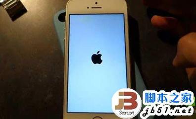 白苹果不能开机怎么办？iPhone白苹果解决办法 iphone5s 白苹果 解决