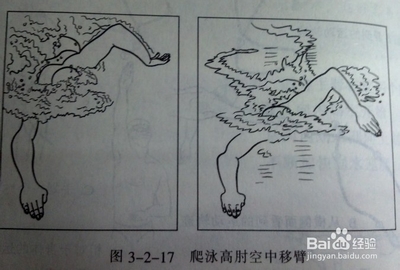 快速掌握游泳技巧：[2]学自由泳的诀窍