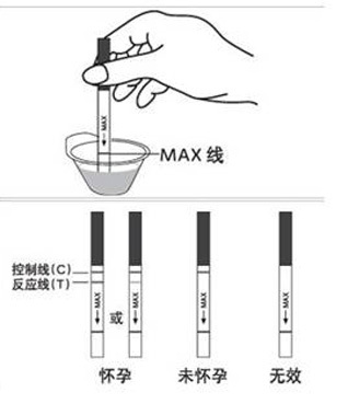 验孕棒多久能测出来 受孕多久能测