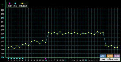 孕前女性基础体温曲线图 基础体温363却怀孕了