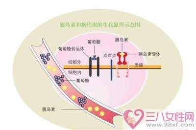 高血脂的饮食疗法 中医治疗高血脂