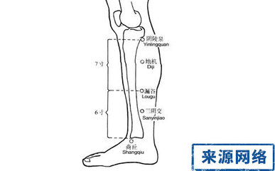 阴陵泉穴位位置图和作用 足三里的作用与好处