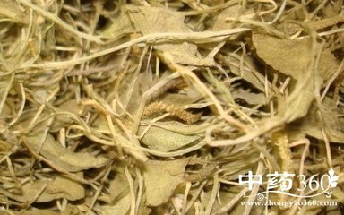 紫苏的功效与作用 秋葵的功效与作用