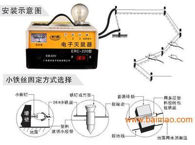 家庭灭鼠方法？ 家庭灭鼠的7种方法