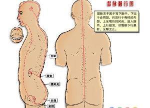 大小周天及其练法？ 小周天练法