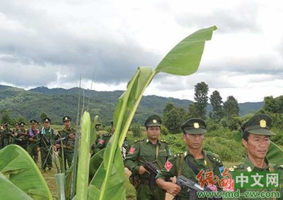 缅甸德昂民族解放军：为让民众自由投票到大选结束前除被迫自卫外