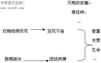 《天鹅的故事》教案修改 天鹅的故事教案