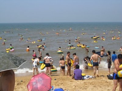 大连李官、营口鲅鱼圈白沙湾一日游 营口鲅鱼圈白沙湾住宿