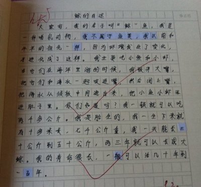 小练笔_鲸的自述 鲸的自述600字小练笔