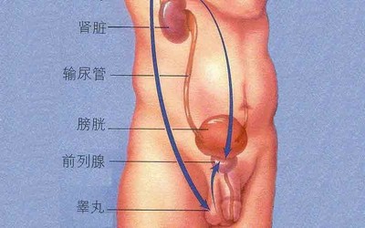 前列腺增大治疗方法，前得乐胶囊官网pgr篆祖抓茁尊专 前得乐