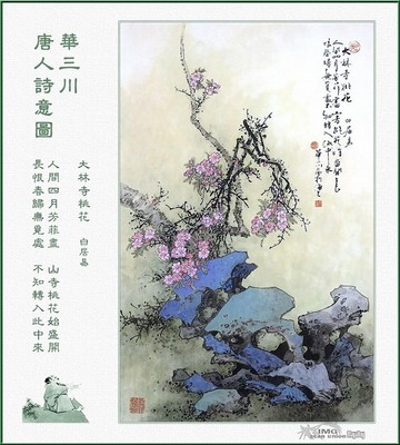 唐诗鉴赏.解读与赏析白居易的一首小诗[原创作品] 白居易 岁晚 鉴赏