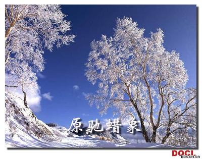 也说说《沁园春雪》 沁园春雪朗诵