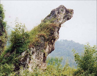 黄山奇石之天狗望月2011年3月 黄山奇石之天狗望月