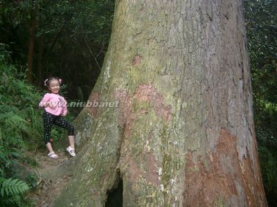 憋汗汗大汗狂汗汗如雨下瀑布汗成吉思汗 瀑布汗 表情