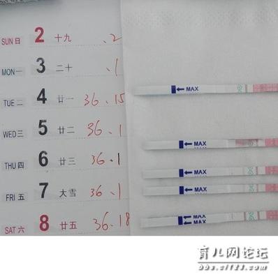 怎样使用排卵试纸测怀孕？ 排卵试纸测怀孕