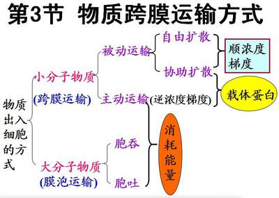 《物质跨膜运输的实例》教学反思 物质跨膜运输实例