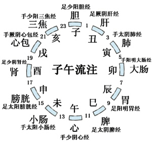 子午流注与人体五脏的关系（附子午流注图) 人体五脏六腑