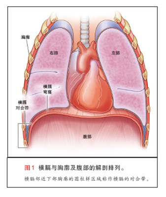 女性小腹胀痛的原因 月经推迟小腹隐隐作痛