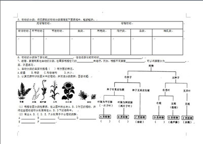 《尝试对生物进行分类》教学设计、反思与点评 个别化学习点评 反思