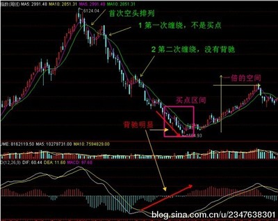 缠师语录：一吻何能销魂