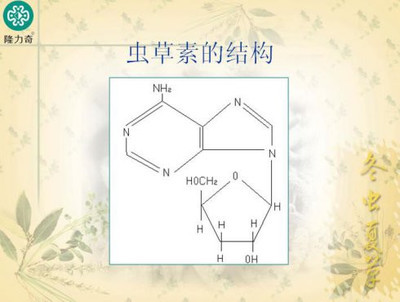 国家863计划北冬虫夏草 国家863计划 验收