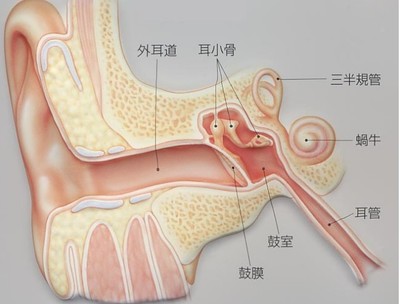 坐飞机的时候如何避免耳膜疼痛 耳膜穿孔可以坐飞机吗