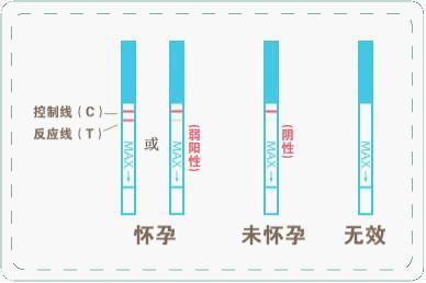 停经几天能测出怀孕 停经几天测早孕