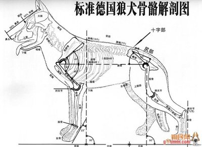 到底什么叫“神回复”？ 什么叫后台回复